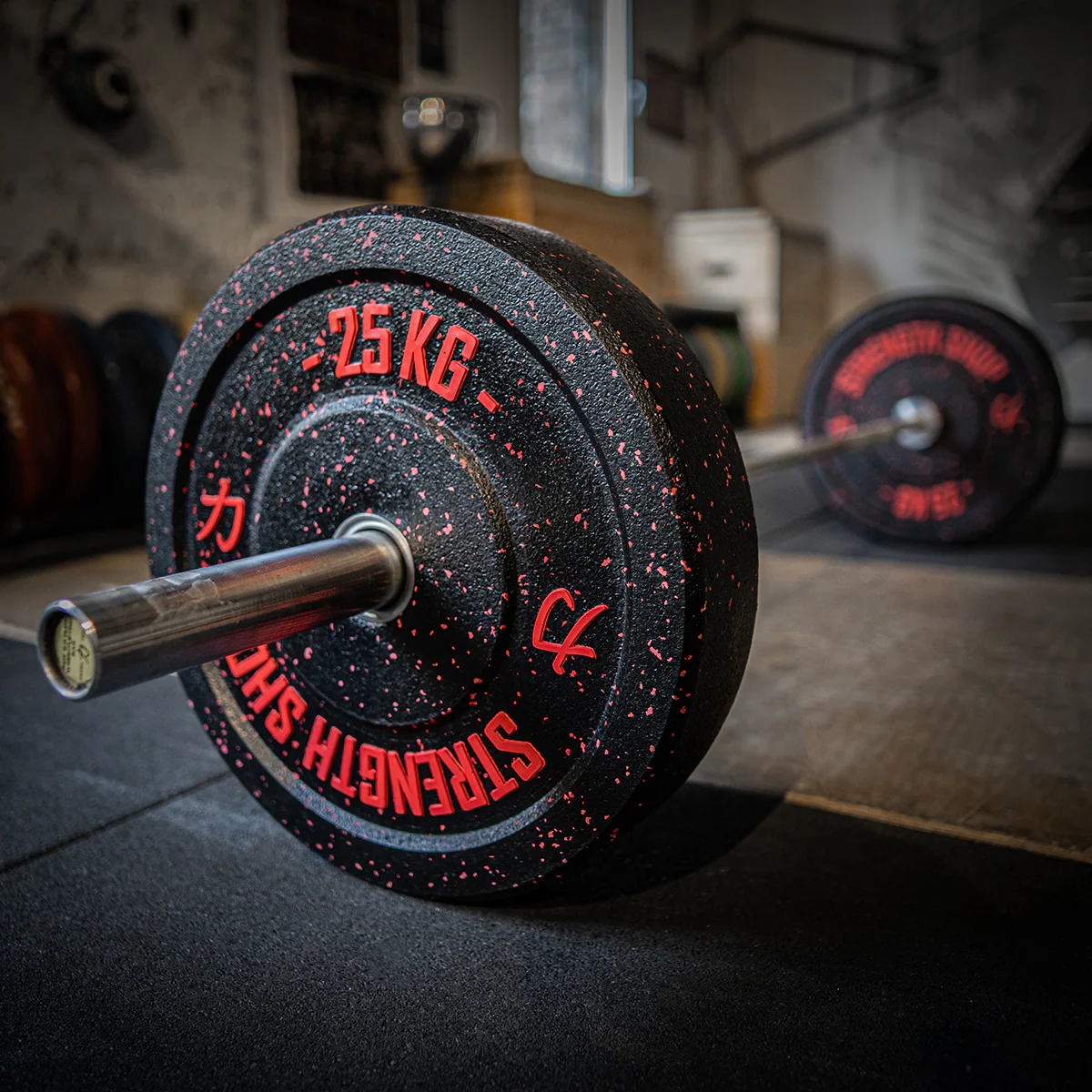 Crumb Bumper Plates w/ Colour Coded Dots - Image 9