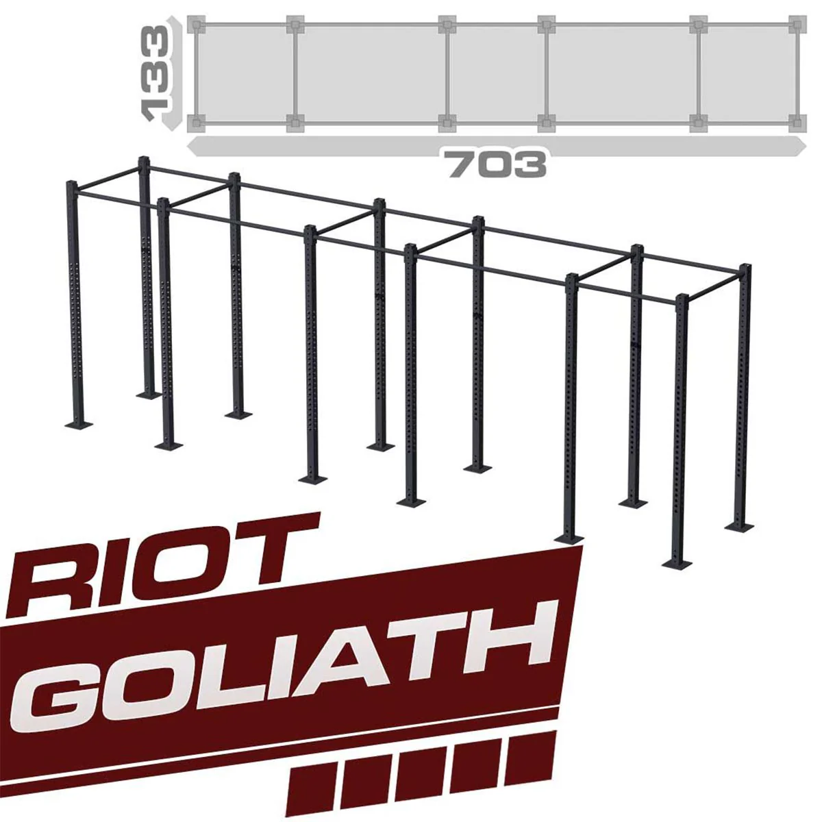 Goliath Riot Rig / Training Station - Image 5