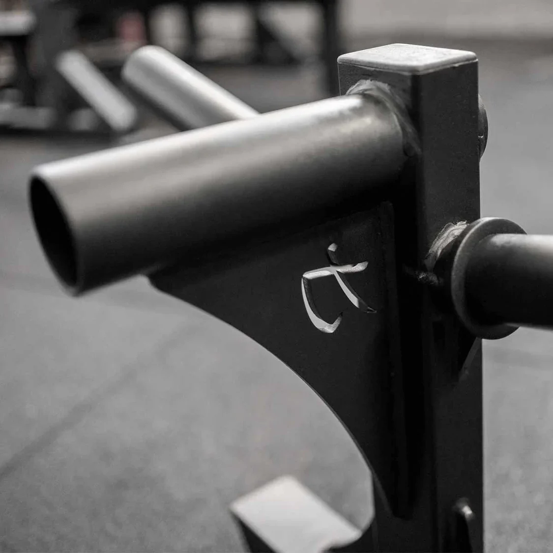 Silver Dollar Deadlift Attachments - Image 4