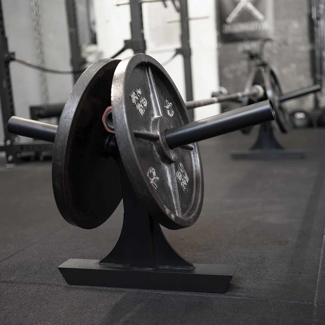Silver Dollar Deadlift Attachments - Image 6