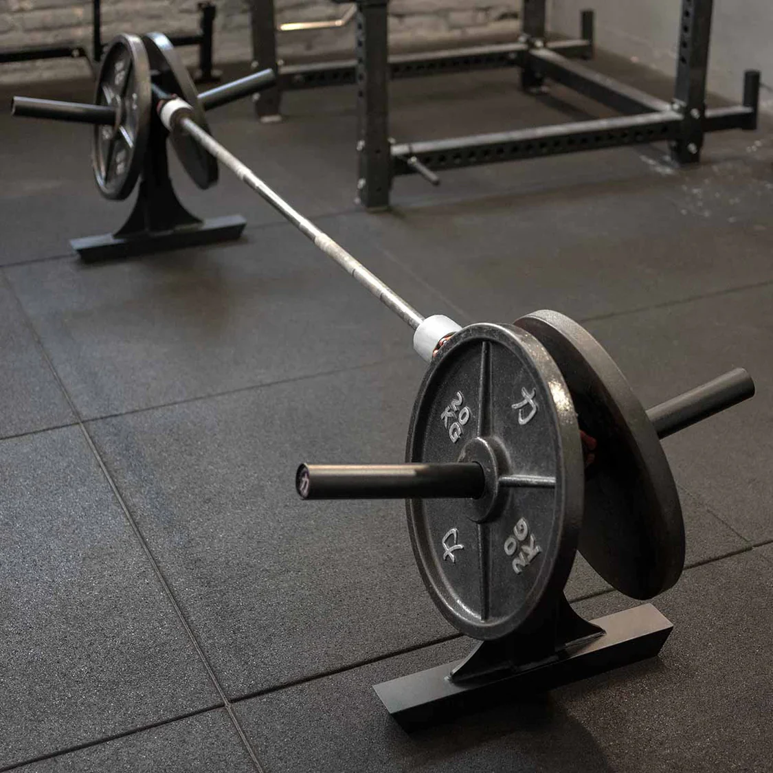 Silver Dollar Deadlift Attachments - Image 7
